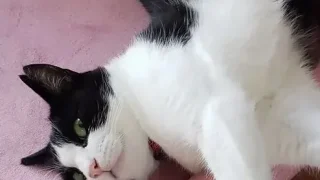 安曇野市　S様