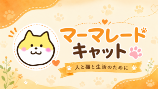 クラウドファンディング