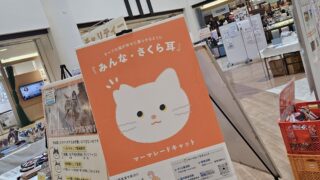 保護猫パネル展inギャザ塩尻