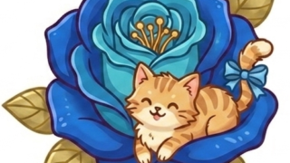 ８月　バザーのお知らせ