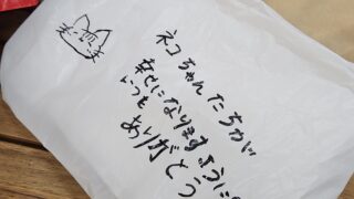 8月2日(日)カインズ塩尻くみまち譲渡会ありがとうございました。