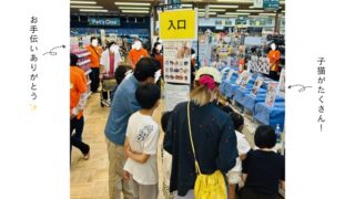 ９月カインズ様での譲渡会