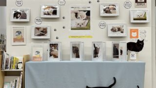 塩尻市立図書館でテーマブックスを開催します。