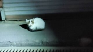 聞き込み